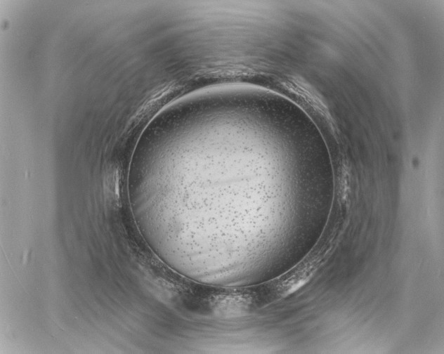 X0000060740115200511141143