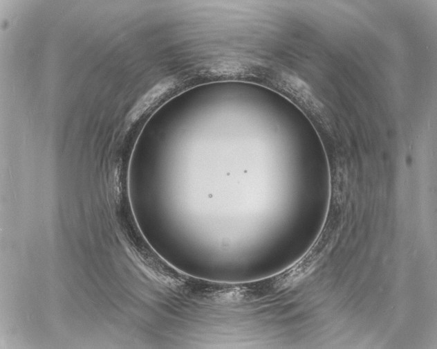 X0000060740116200511141143