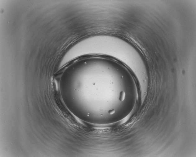 X0000060740117200511141143