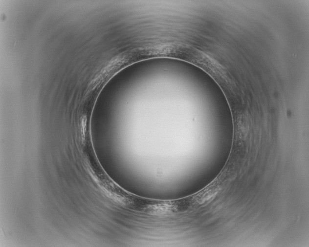 X0000060740118200511141143