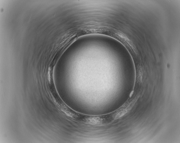 X0000060740121200511141143