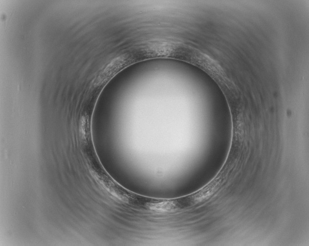 X0000060740122200511141143