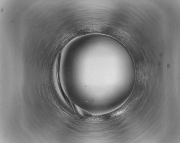 X0000060740123200511141143