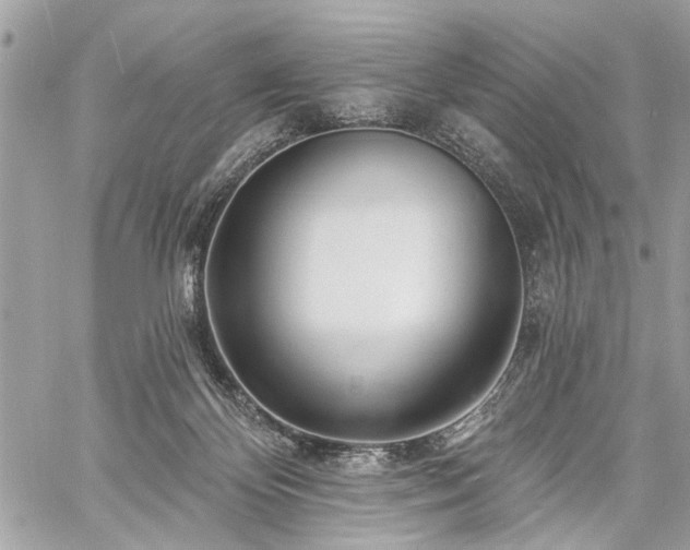 X0000060740124200511141143