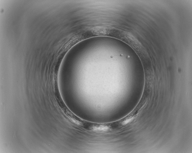 X0000060740125200511141143