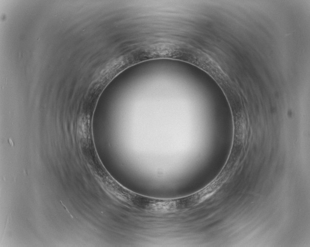 X0000060740126200511141143