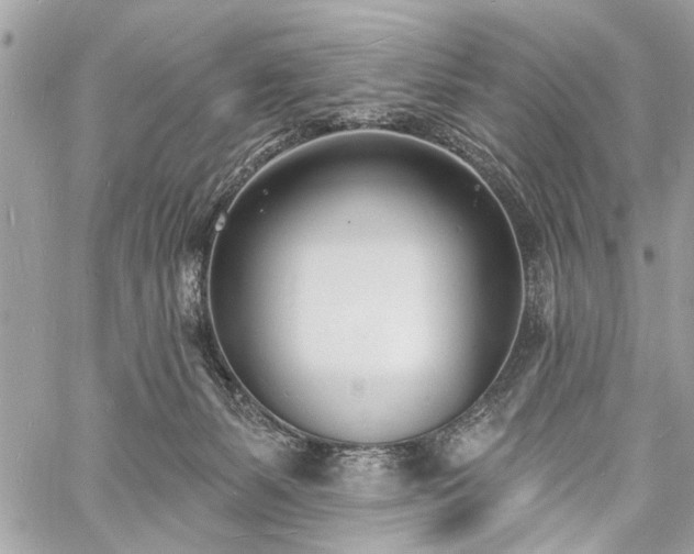 X0000060740127200511141143