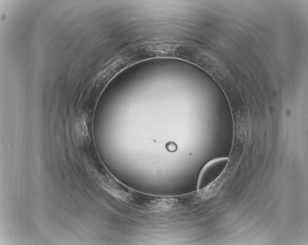 X0000060740128200511141143