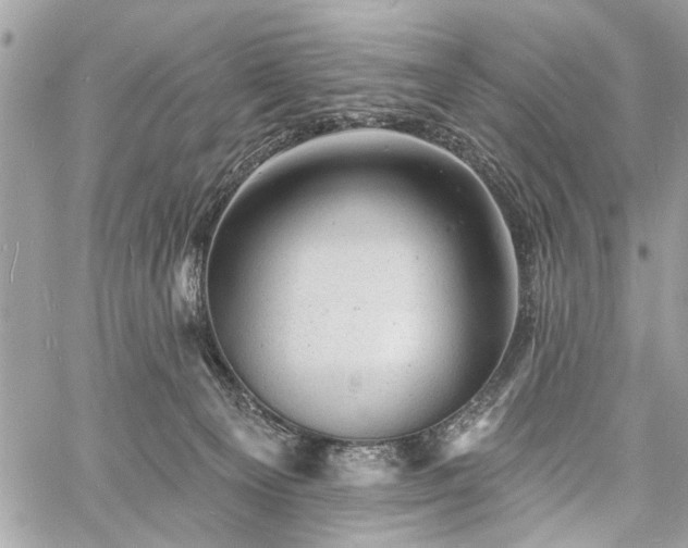 X0000060740129200511141143