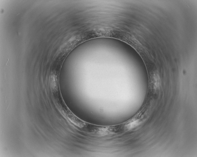 X0000060740130200511141143