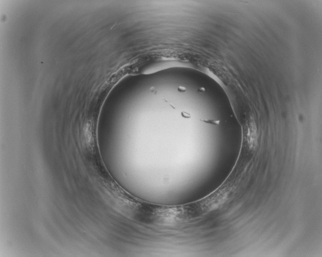 X0000060740131200511141143