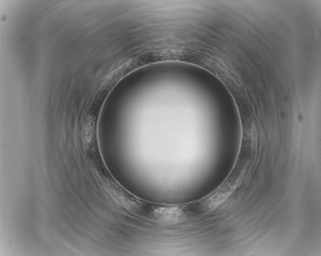 X0000060740133200511141143