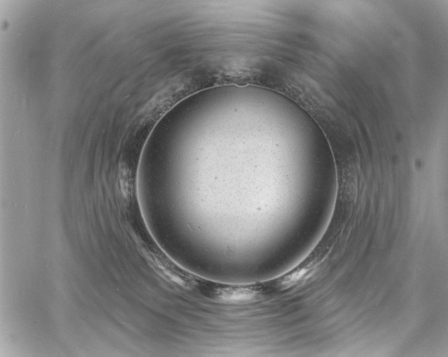 X0000060740135200511141143