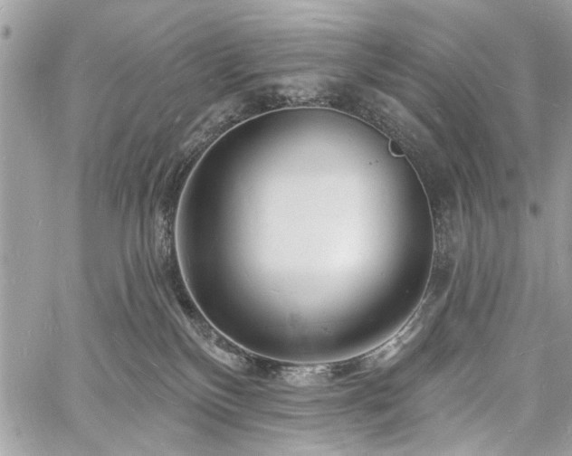 X0000060740136200511141143