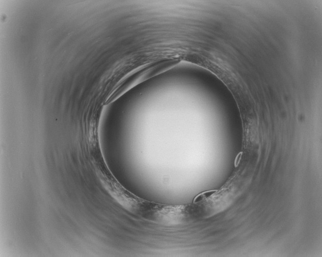 X0000060740138200511141143