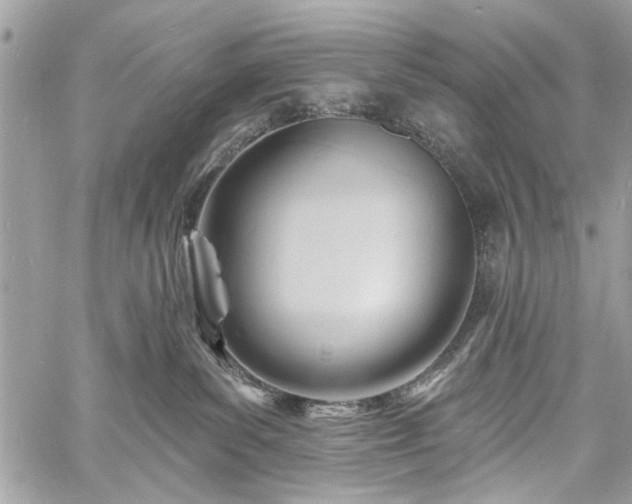 X0000060740139200511141142