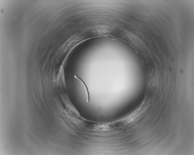 X0000060740140200511141142