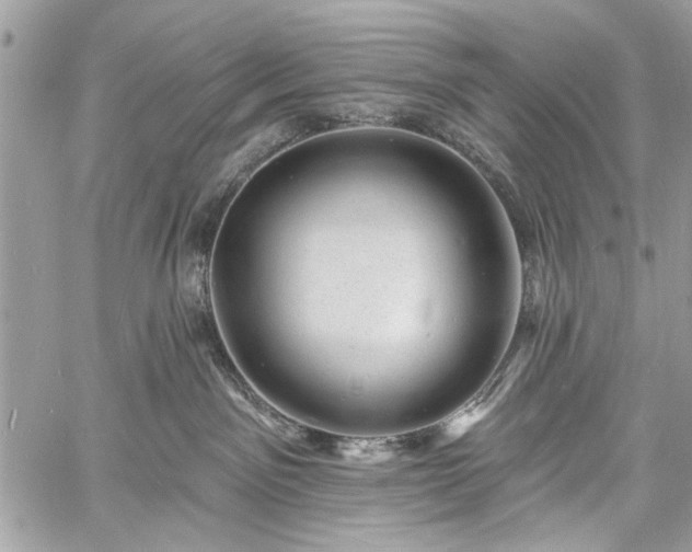 X0000060740141200511141142