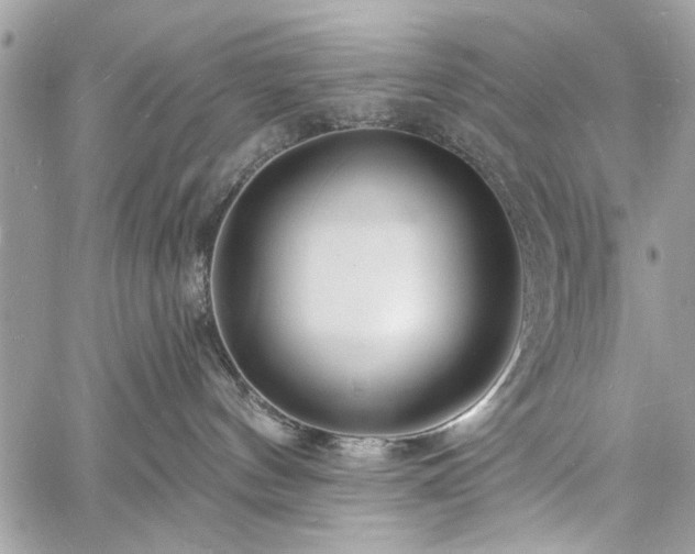 X0000060740144200511141142