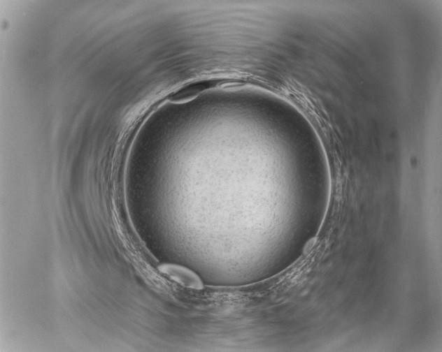 X0000060740145200511141142