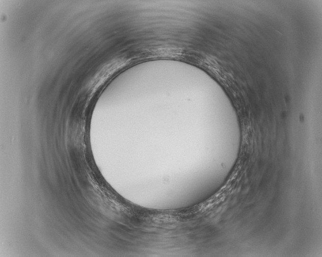 X0000060740146200511141142