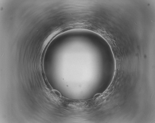 X0000060740147200511141142