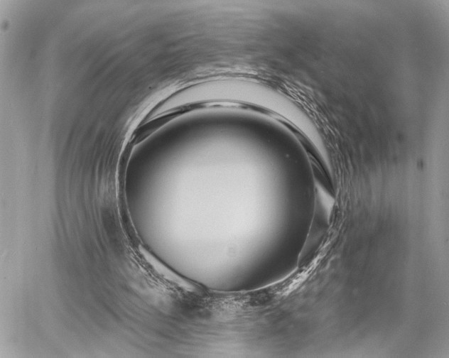 X0000060740148200511141142