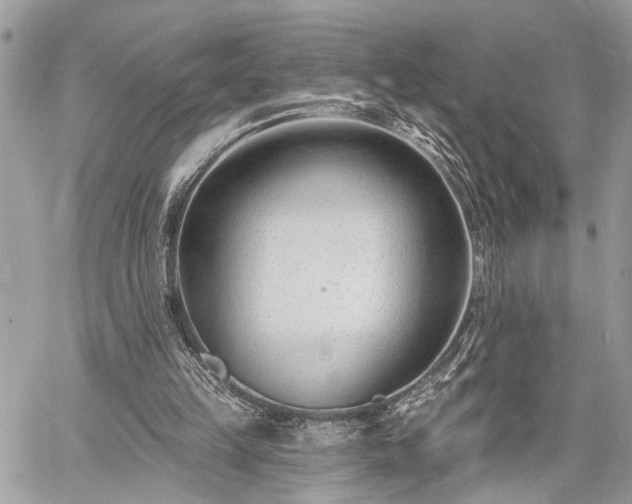 X0000060740149200511141142