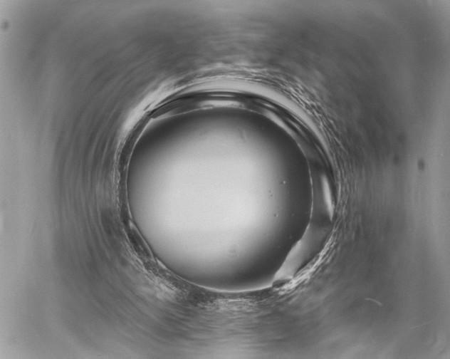 X0000060740150200511141142