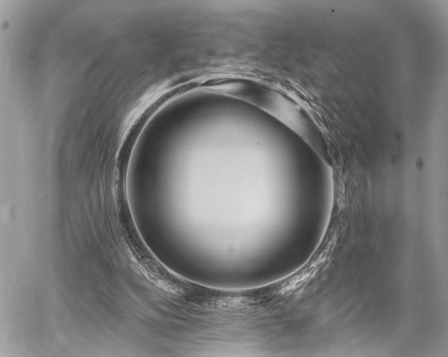 X0000060740152200511141142