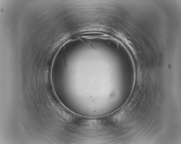 X0000060740153200511141142