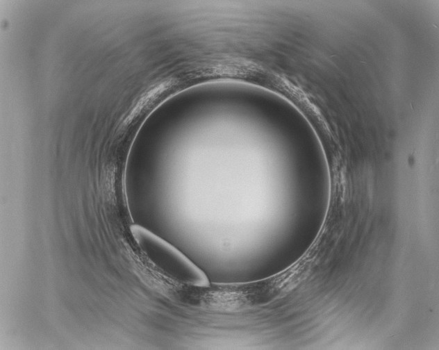 X0000060740154200511141142