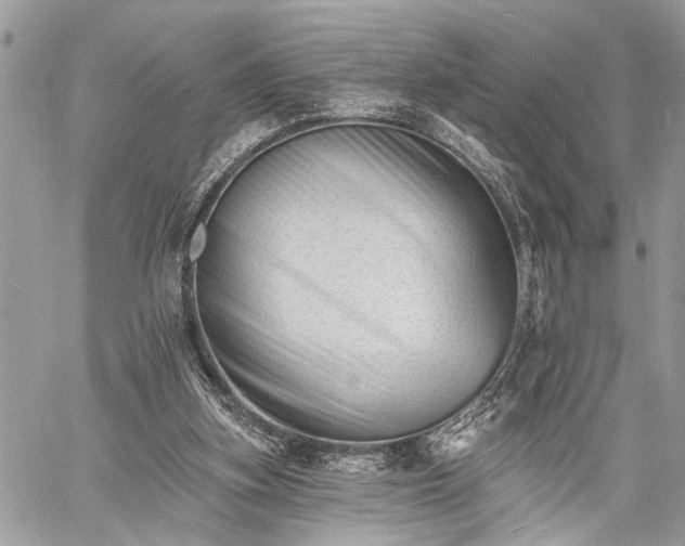 X0000060740155200511141142