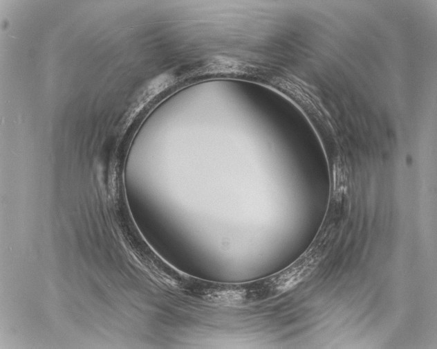 X0000060740156200511141142