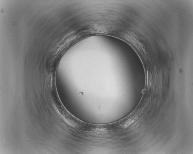 X0000060740157200511141142