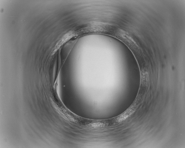 X0000060740158200511141142