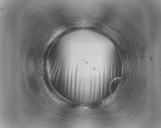 X0000060740159200511141142