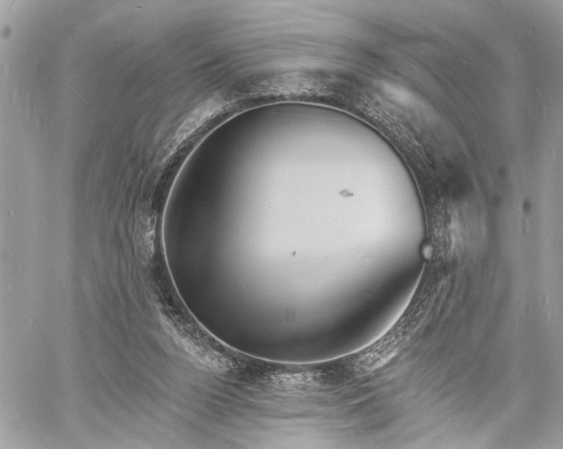 X0000060740160200511141142