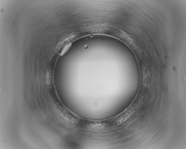 X0000060740161200511141142