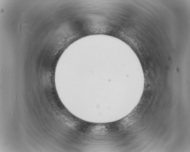 X0000060740162200511141142