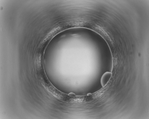 X0000060740163200511141142