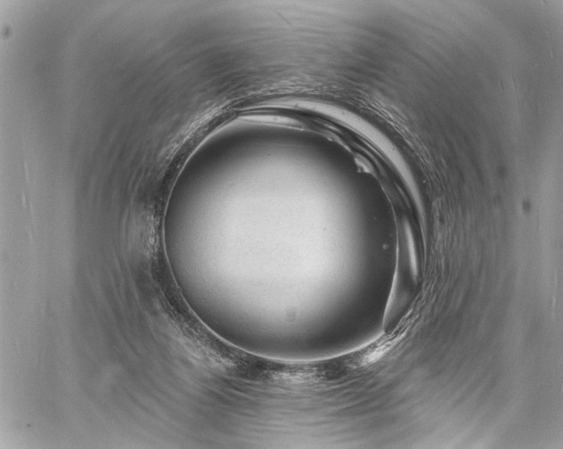 X0000060740164200511141142