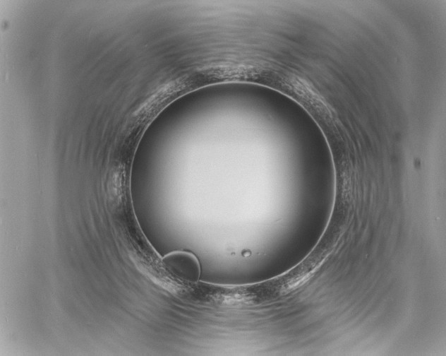 X0000060740165200511141142