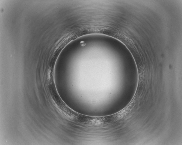 X0000060740166200511141142