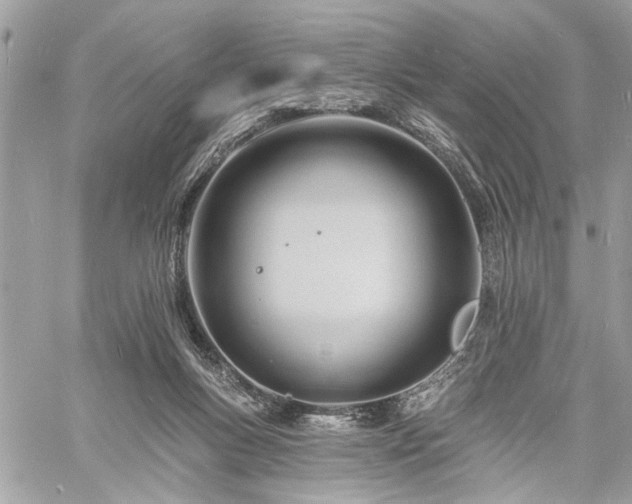 X0000060740167200511141142