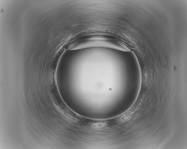 X0000060740168200511141142