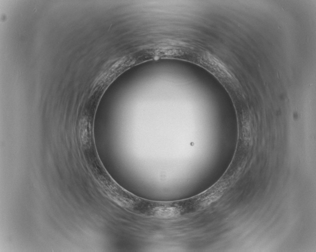 X0000060740169200511141142