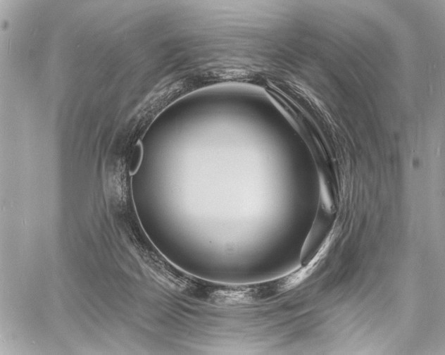 X0000060740170200511141142