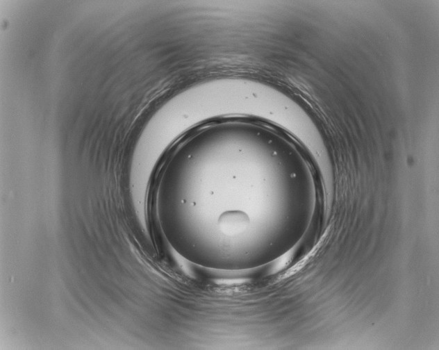 X0000060740171200511141142