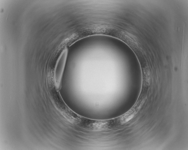 X0000060740172200511141142